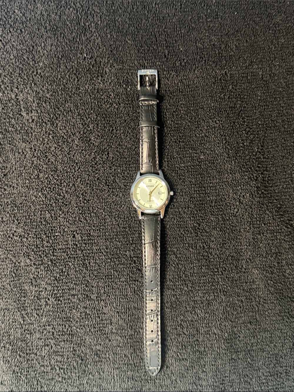Citizen Women’s Eco-Drive Watch with Black Leather Strap and Silver Case